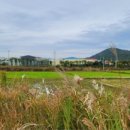 서근마을회관 이미지