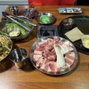 [제주시 흑돼지 맛집] 도남돼지 방문 후기