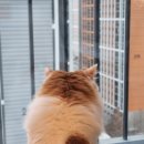 어반더룸