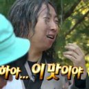 앵그리밥