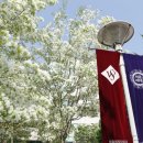 서울여자대학교 이미지