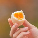 CW-2176-01 이미지