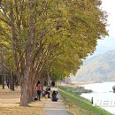 송호관광지 이미지