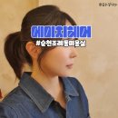 해원 동물병원 | 순천 조례동미용실 에이치헤어 중단발헤어컷 여자머리추천