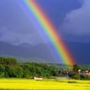 무지개로 이미지