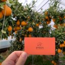 1호농장 이미지