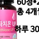 피엔씨코리아