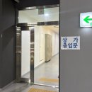 [대구 무지개 염색] 핵인싸 보장! ‘보그헤어 대구 죽전점' 한가닥 무지개 브릿지 후기