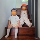 이든목장 | 백한철꽈배기, 소 우유, 먹이주기 체험 아침미소목장, 몸국 맛집 신설오름, 도두슈퍼마켓, 제주별빛...