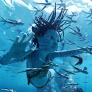 Avatar : The Way of Water 이미지