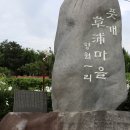 항월마을 Daum카페