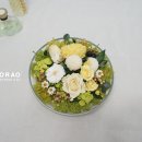 옐로우레이크