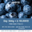 베리하우스 이미지