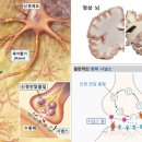청도의료기 이미지