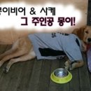 몽이비어 네이버블로그