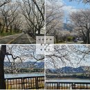 벚꽃길민박 이미지