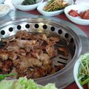 목화다실 Daum카페