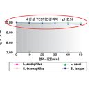 생유산균 내산성 테스트 이미지