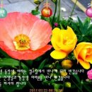 연희노인문화센터 이미지