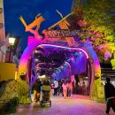 대성우주카 | 환상의나라 &#39;에버랜드&#39; 할로윈축제 오즈의마법사 즐기기 (SKT 할인 자유이용권, 셔틀버스, 솔직 후기)