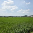 용전리 티스토리