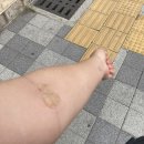 송수진산부인과의원