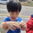 버들피리와 목련꽃잎 그림그리기 이미지