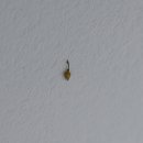 하늘지기 이미지