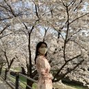 덕풍천서로 이미지
