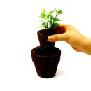 친환경 화분 만들기 이미지