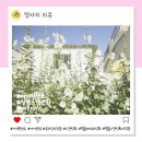 무궁화사진관 | 온라인 사진관 여기현상소 현상 및 스캔 인화 내돈내산 이용 후기