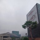 신라에이치엠(주)