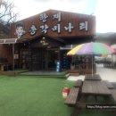 음지지 | 청도 한재미나리삼겹살 맛집 한재 총각미나리 (한재미나리가격 손질법)