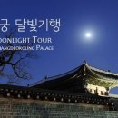 달빛되어 이미지