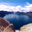 천지 카카오 검색결과