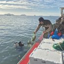 해삼수산 이미지