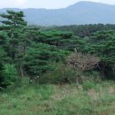 훈이네농장 이미지