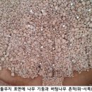 나무와 문화연구소
