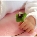 오토앤(주) 이미지