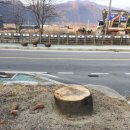 목동터미널 화장실 이미지