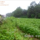 석우리주유소 이미지