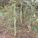 남촌농장 이미지