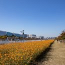 미사경정공원 이미지