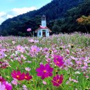 무궁화집 이미지