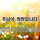 주님 만이 나의 희망입니다!(룻기1:1-14) 이미지