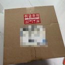 말 모형 | [W7]내돈내산 뭉크뭉크 아트플레이 웨딩케이크 모형 직접만든 후기