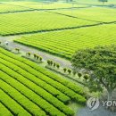 서광리-26 이미지