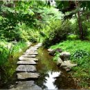 지혜의샘 이미지