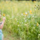 오천골프연습장 이미지