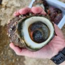 동박새우는집 이미지